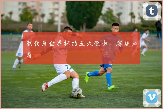 熬夜看世界杯的五大理由,球迷必看