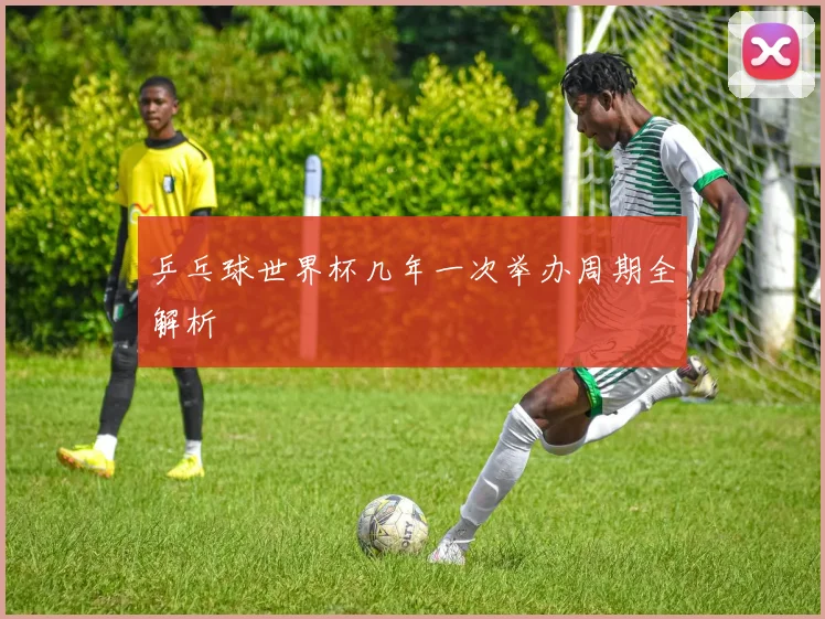 乒乓球世界杯几年一次举办周期全解析